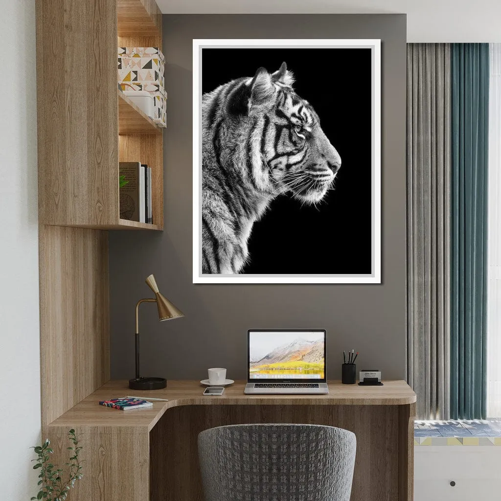 Black and White Sumatran Tiger