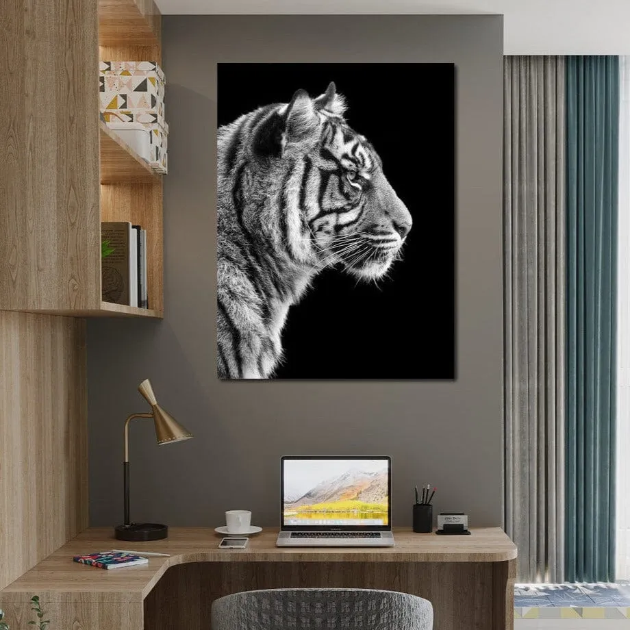 Black and White Sumatran Tiger